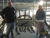(10/03/2014) - Nice Striped Bass